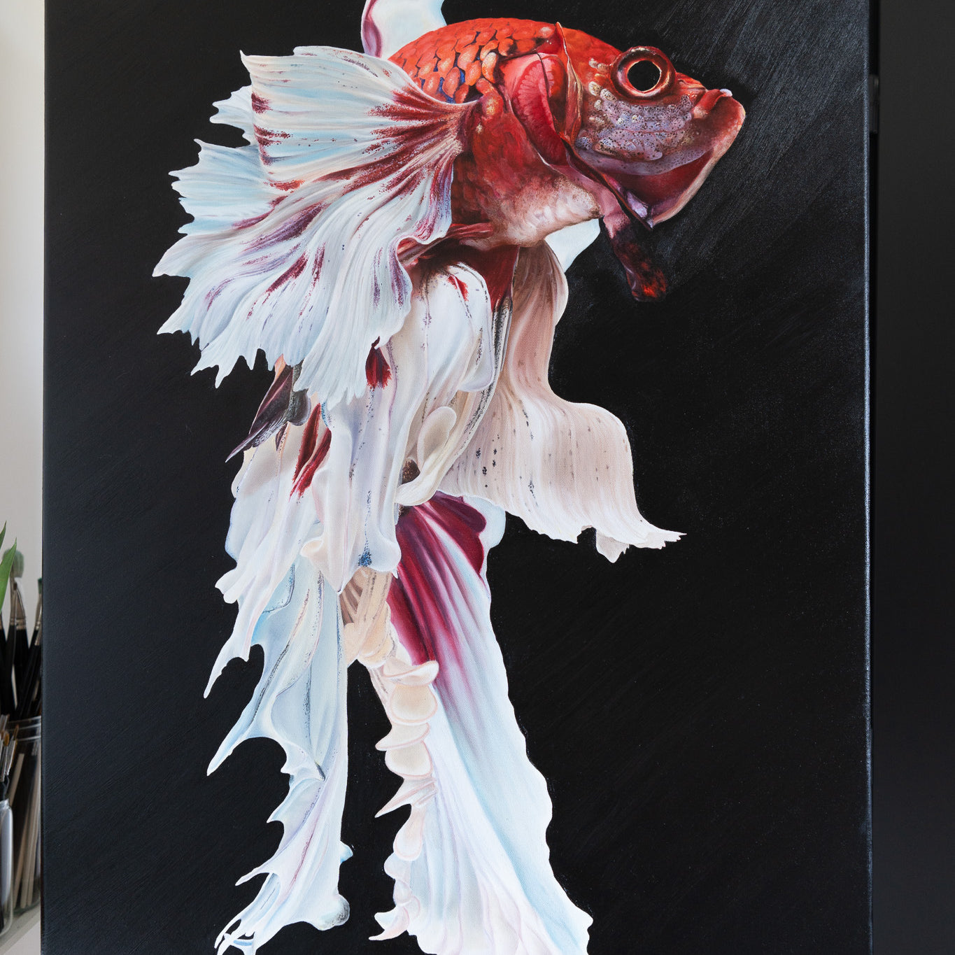 beta fish painting on a black background