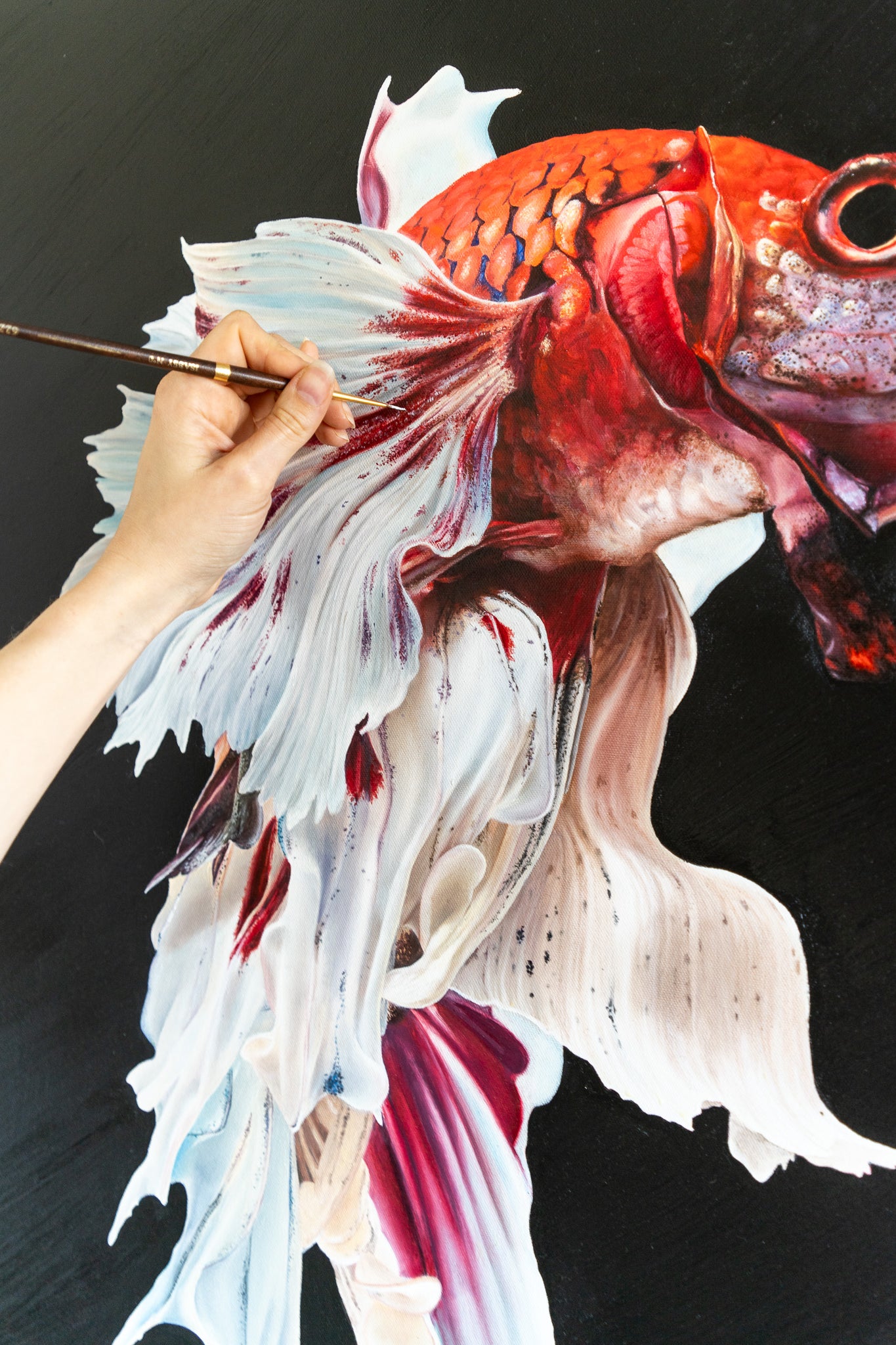 a close up of the beta fish painting while painting