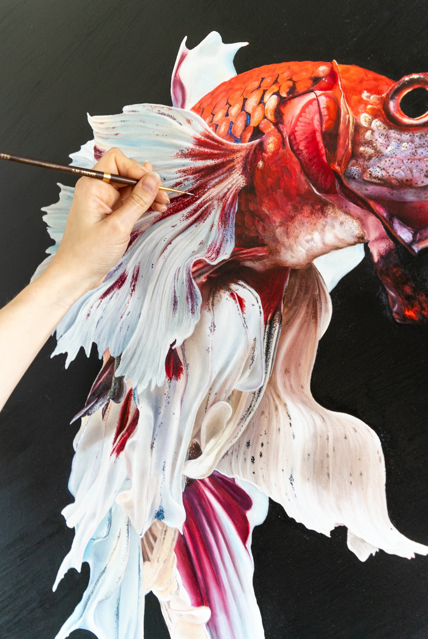 a close up of the beta fish painting while painting