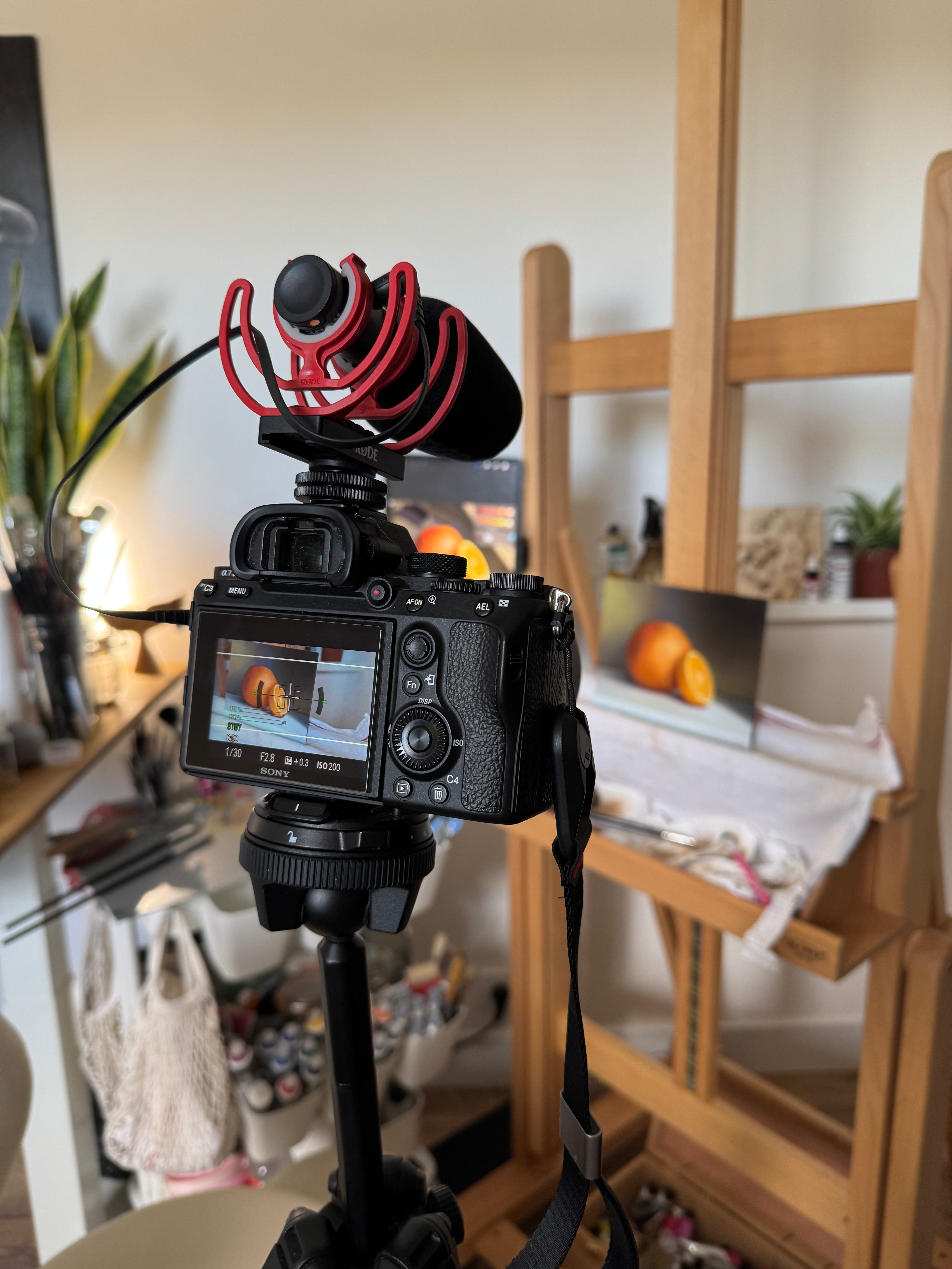filming with my camera Sony while I am painting a still life of an orange