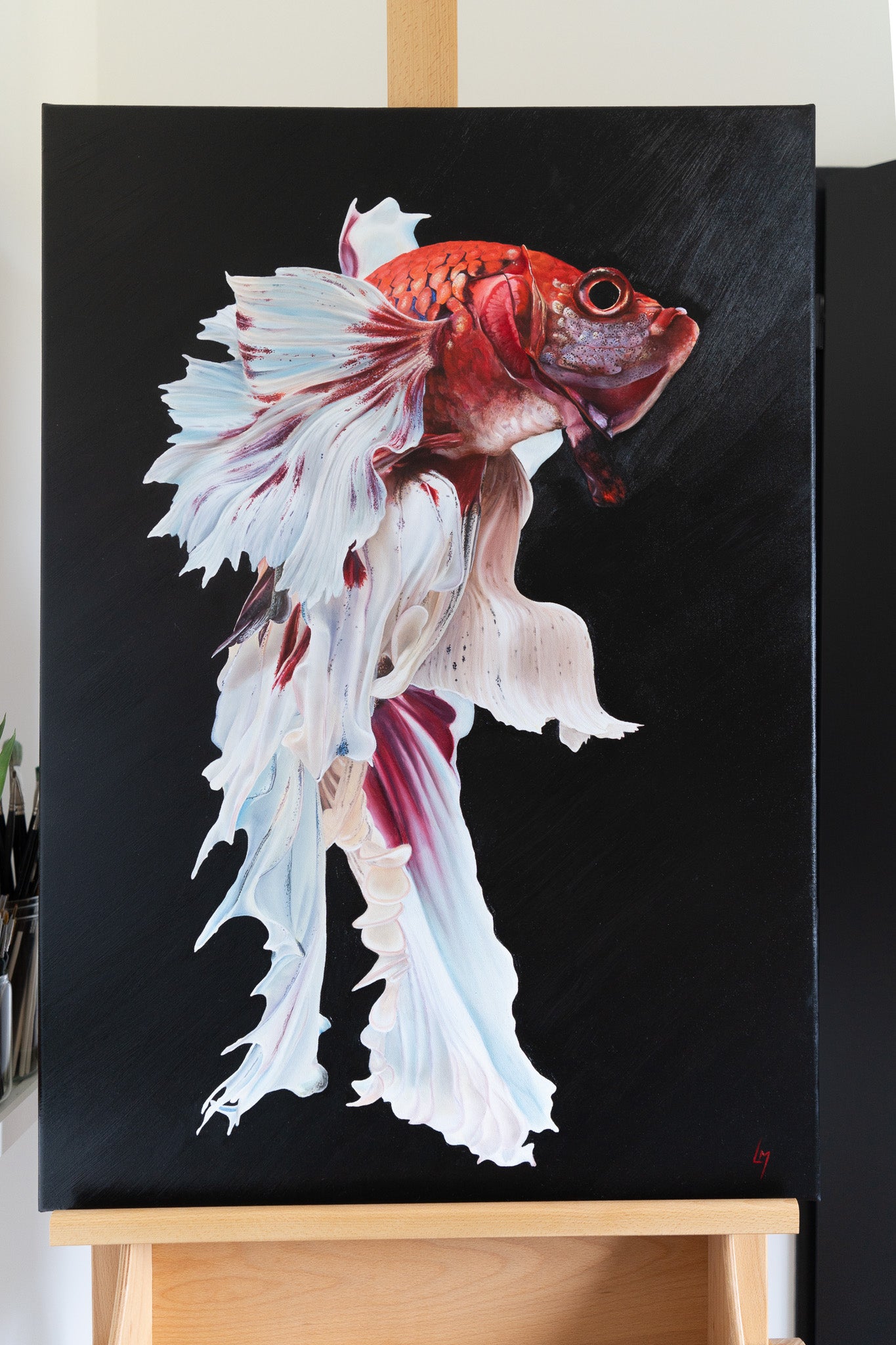 beta fish painting on a black background 