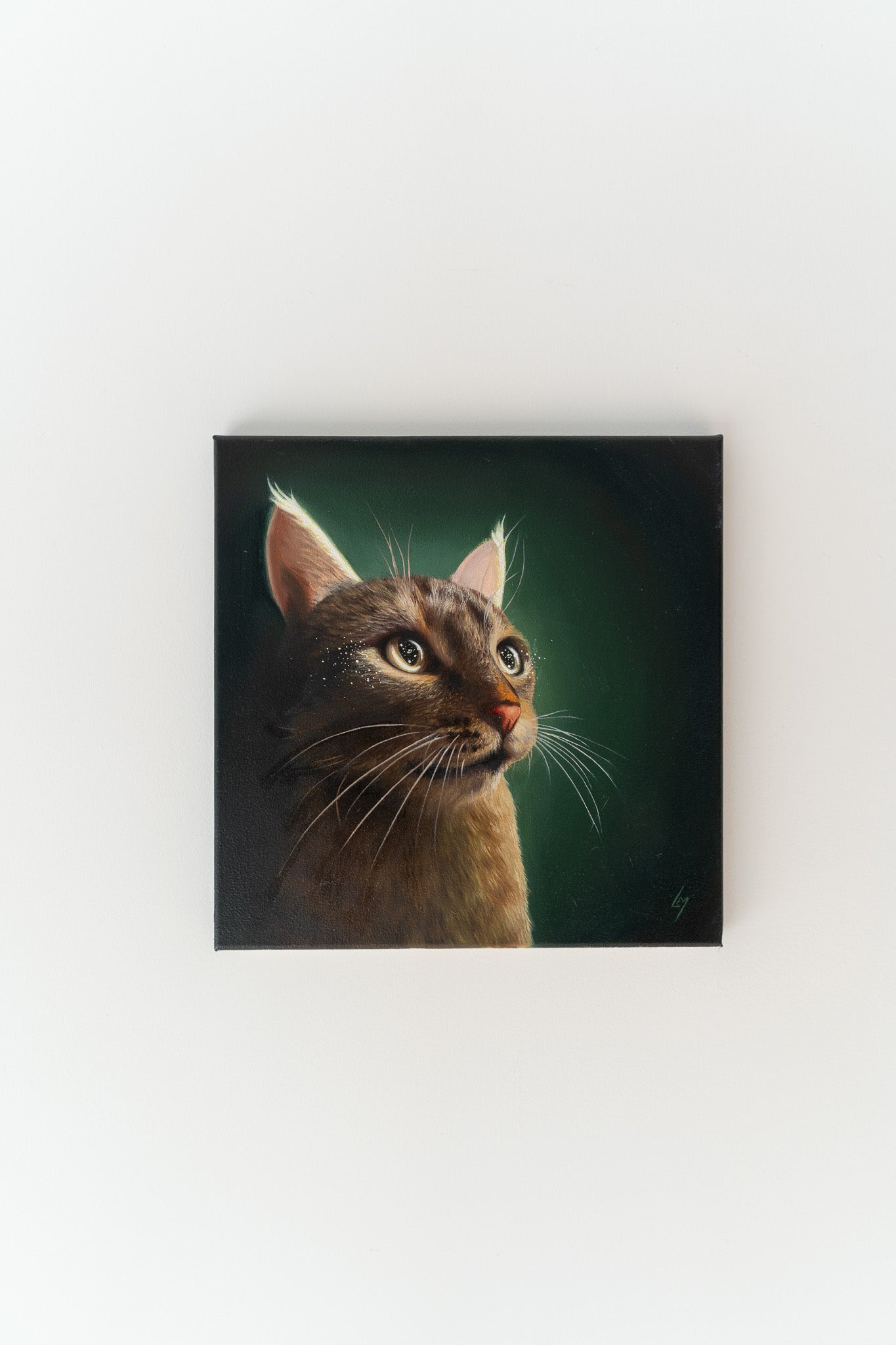painting of a cat with stars in the eyes 