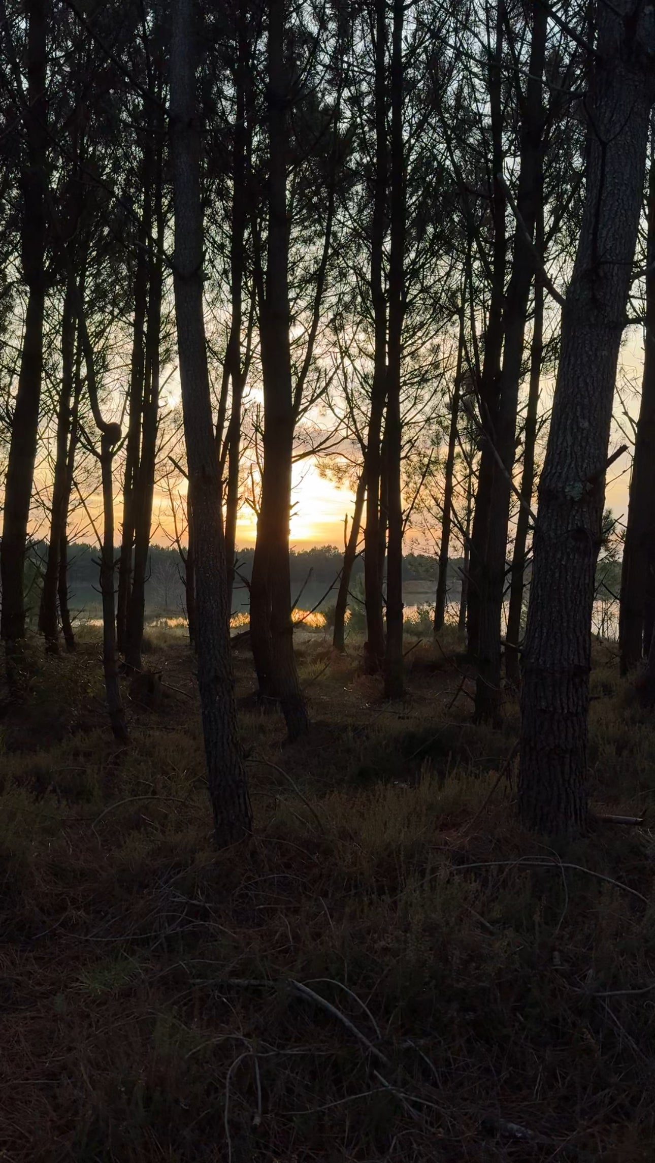 Paysage avec coucher de soleil, une image inspirante pour mes œuvres