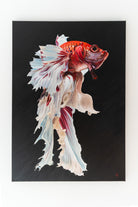 painting hanging of the beta fish on black background 