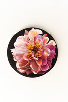 peony black background  painting 